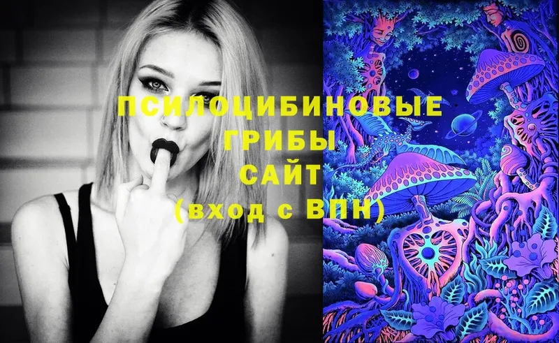 Галлюциногенные грибы Magic Shrooms  Северская 