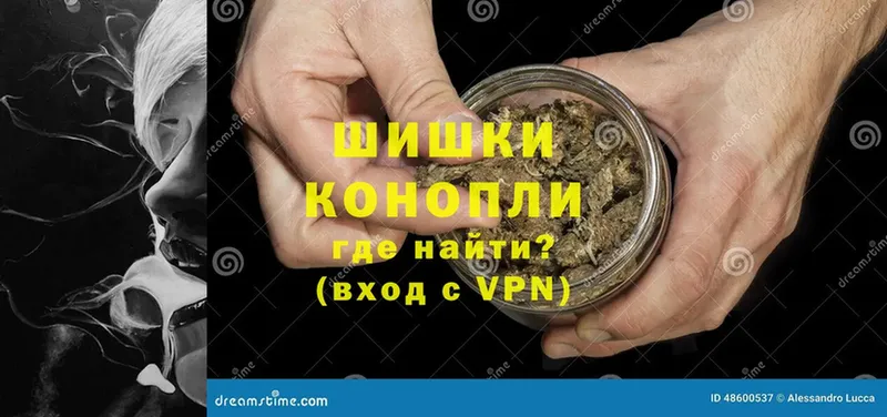 Шишки марихуана THC 21%  мега зеркало  Северская  как найти наркотики 